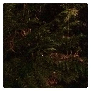 Meet your Posher, Lesley